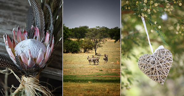 10-Laura Jane Photo- Jeroen & Vivian