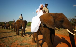 Wow, check out these elephants! Yup this is truly an African adventure all rolled up in a wedding. Vivian and Jeroen are a dutch couple who spend a lot of time in South Africa and wanted their wedding to reflect their love of Africa. Their guests were treated to a wonderful sunny day with a braai dinner served under boma’s (for those non-South African’s out there a braai is a BBQ and a [&hellip;]